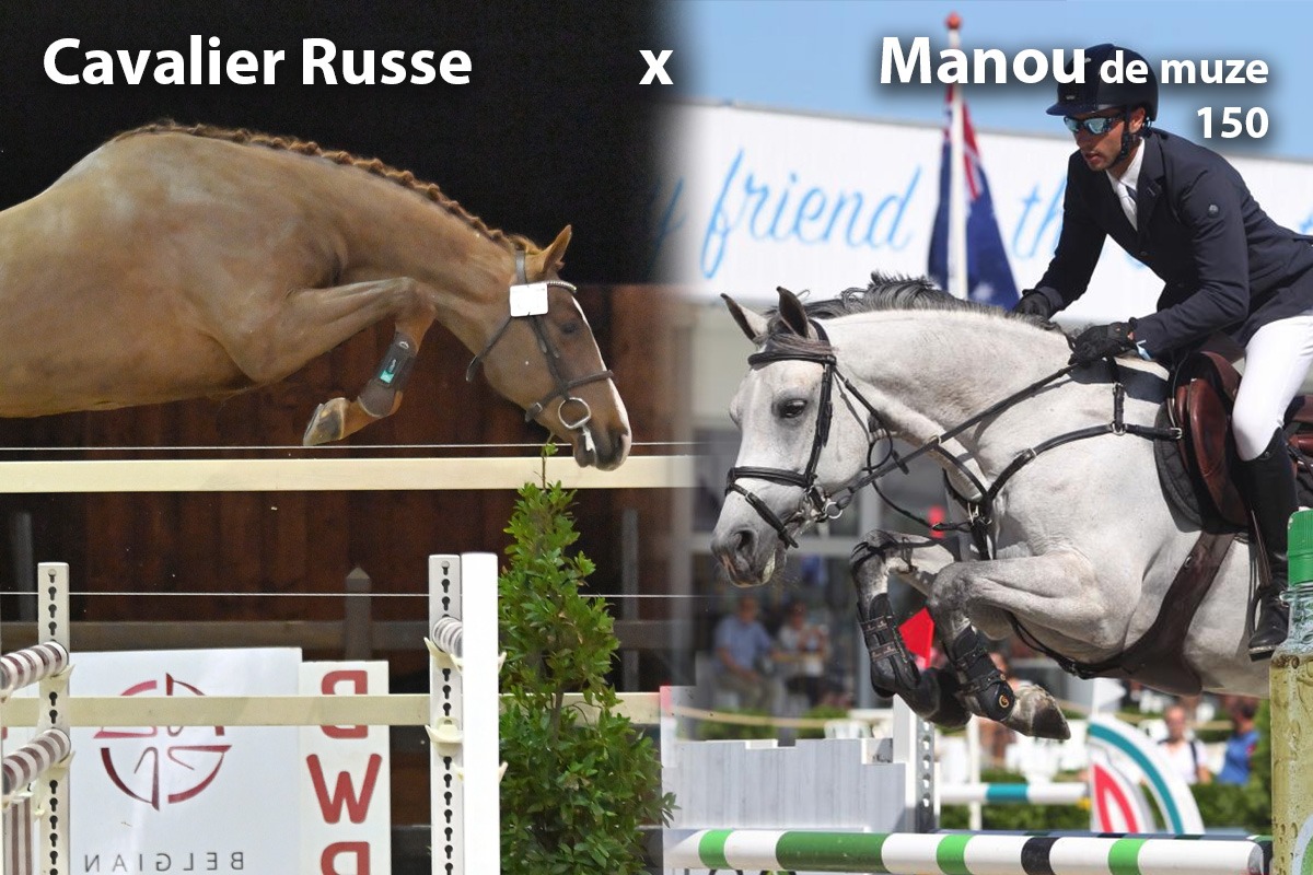 paard-cavalier-russe-x-manou-peter.jpeg